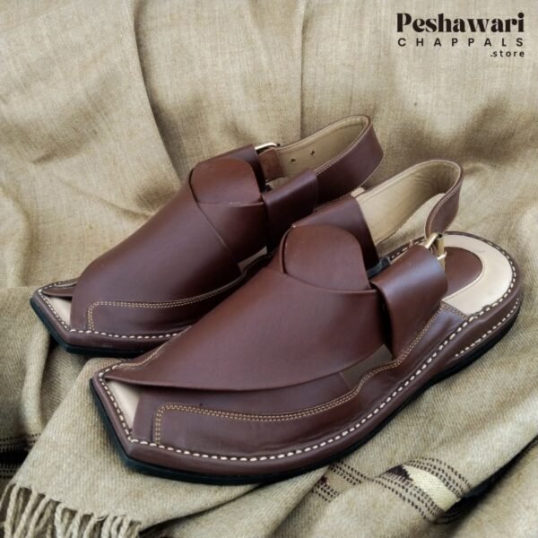 Handmade Zalmi Peshawari Chappals for Mens-master color